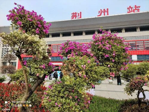 邢台到荆州物流专线-邢台物流到荆州