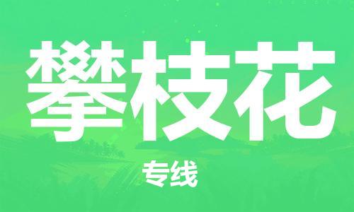 邯郸到攀枝花物流公司-邯郸至攀枝花货运客户至上定制服务|可靠、经济实惠