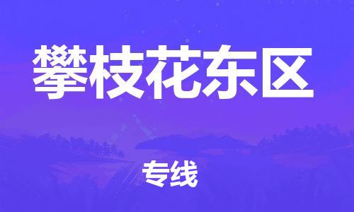 邯郸到攀枝花东区货运公司-物流专线丢损必赔「全境直达」