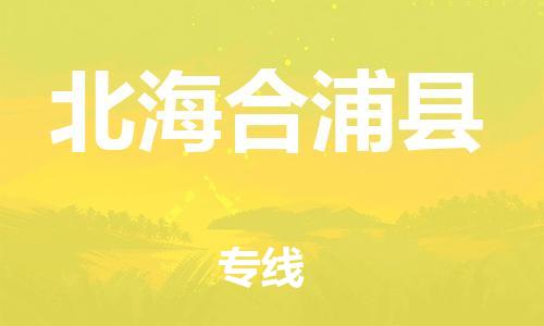 邯郸到北海合浦县物流公司-物流公司保证时效-「上门服务」