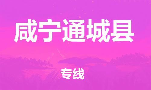 邯郸到咸宁通城县物流公司-私人货物运输专线-「市县闪送」