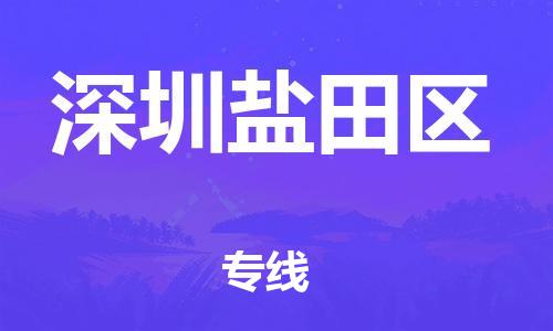 邯郸到深圳盐田区物流公司-电商货物运输专线-时间准时