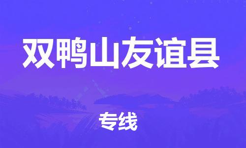 邯郸到双鸭山友谊县物流专线-跨省搬家运输专线-直达运送