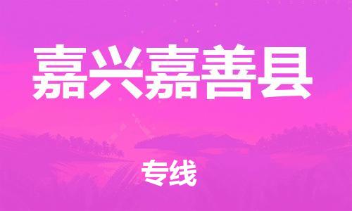 邯郸到嘉兴嘉善县物流专线-食品饮料运输专线-全境派送